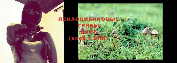марки nbome Богданович