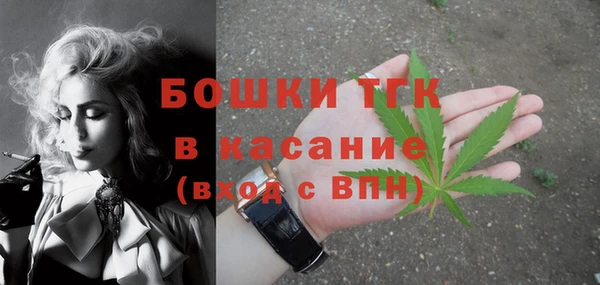 шишки Бронницы